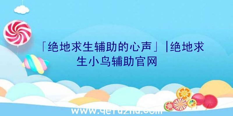 「绝地求生辅助的心声」|绝地求生小鸟辅助官网